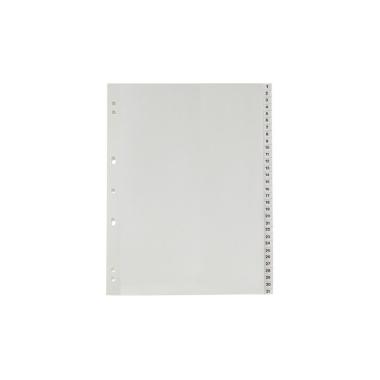 Divisori in pp numerici 1-31