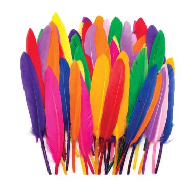 Piume colorate busta gr.100