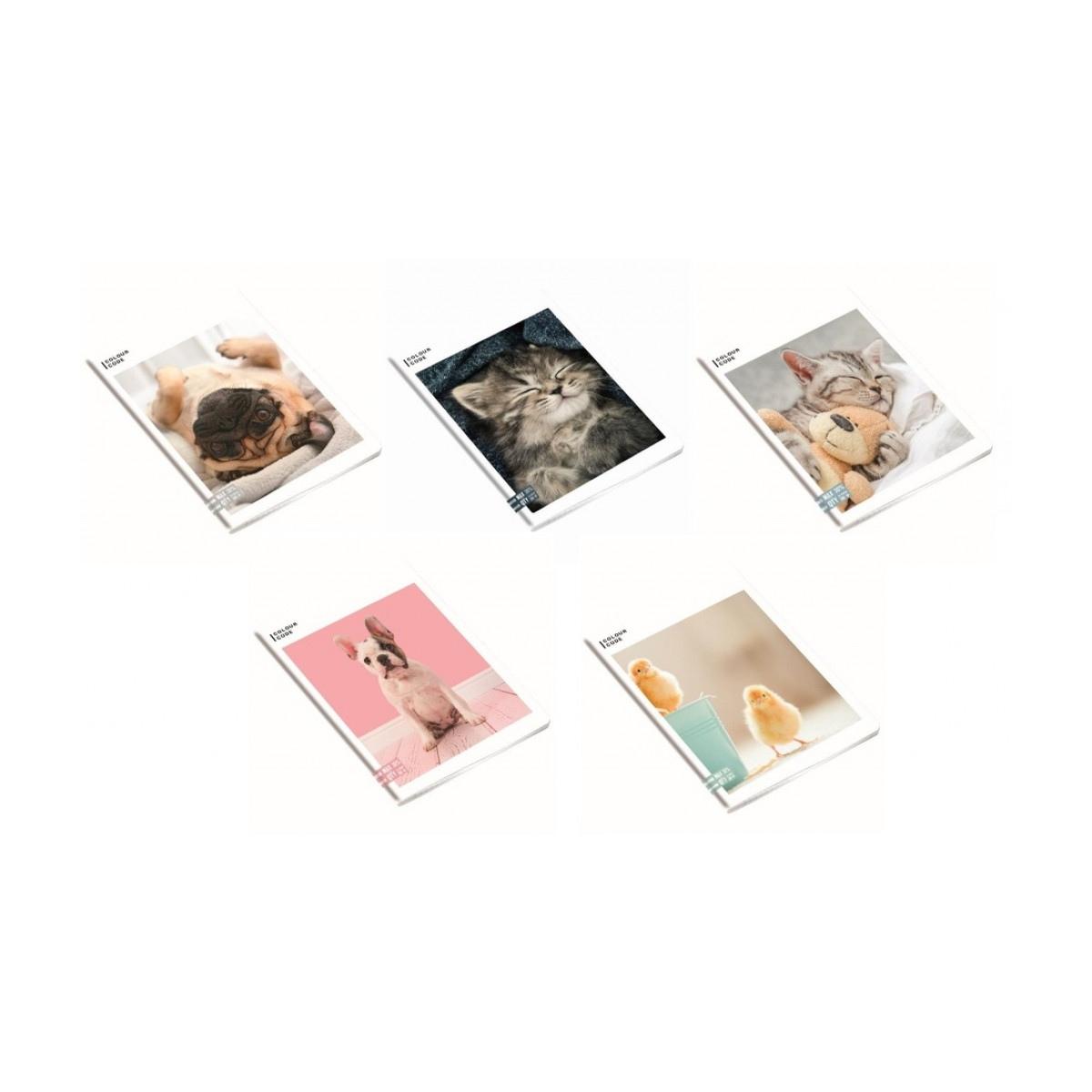 Maxi quaderno colour code animals a