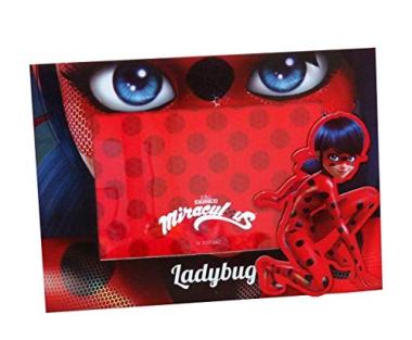 Portafoto magnetico ladybug
