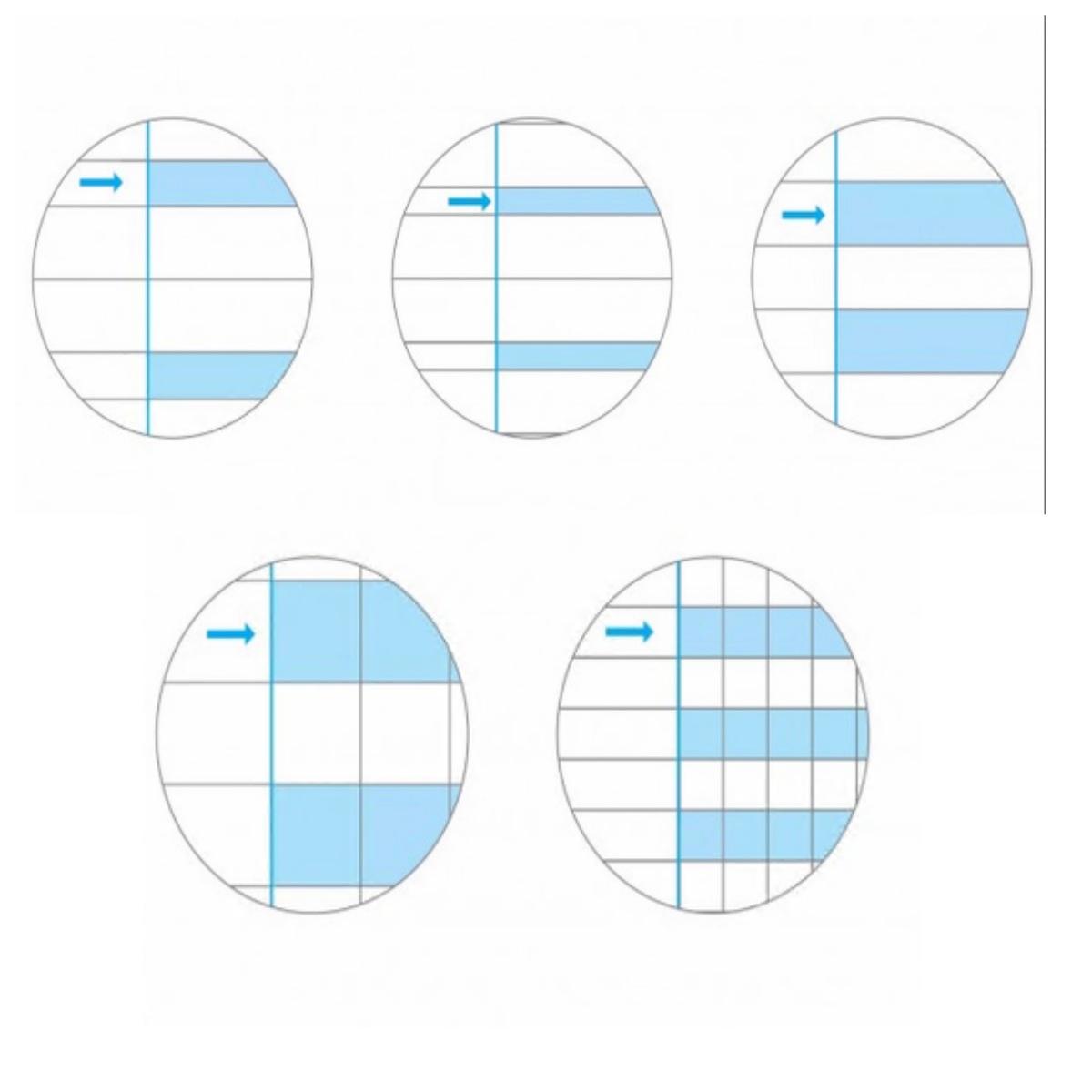 Maxi quaderno educentus