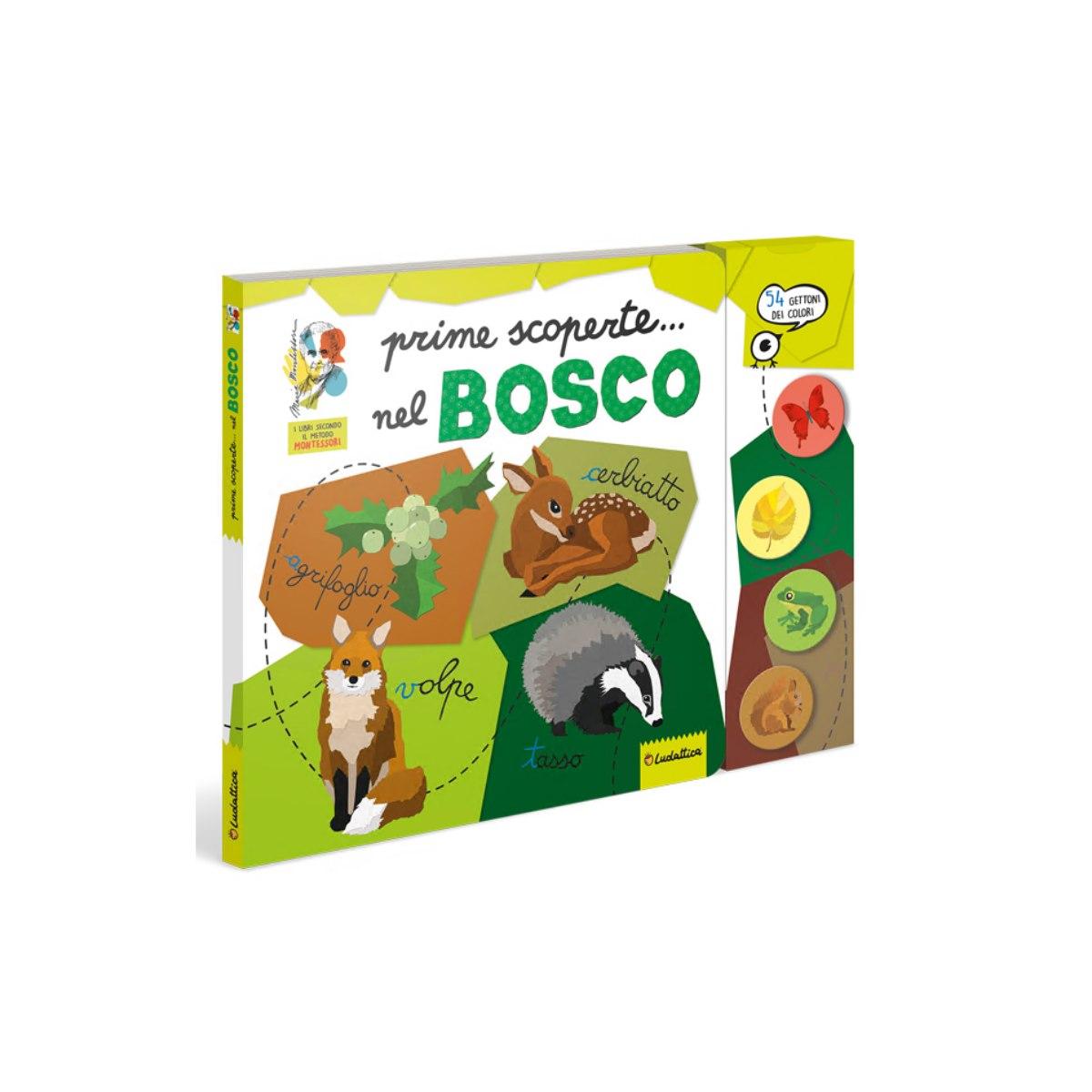 Montessori alla scoperta del bosco