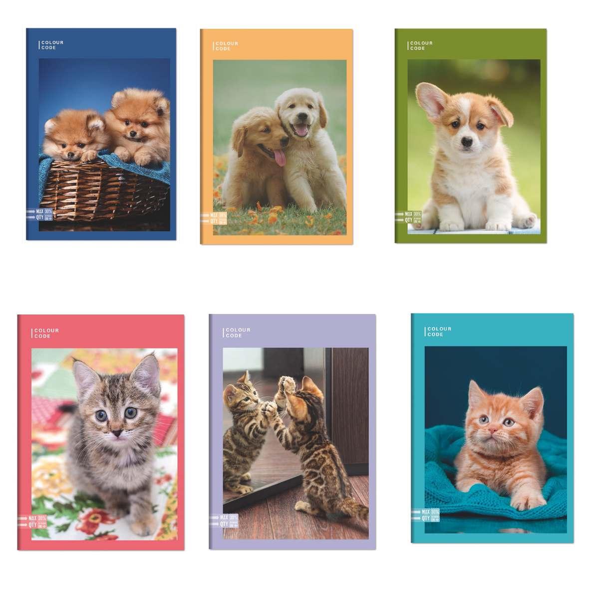 Maxi quaderno a496/100 colour code animal