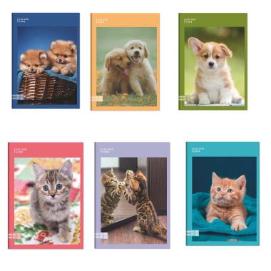 Maxi quaderno a496/100 colour code animal