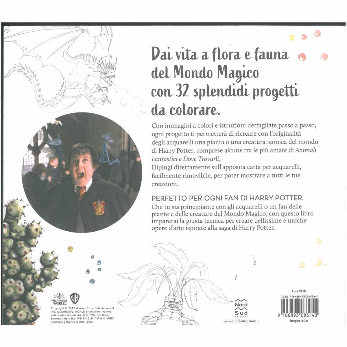 Harry potter acquarelli fantastici