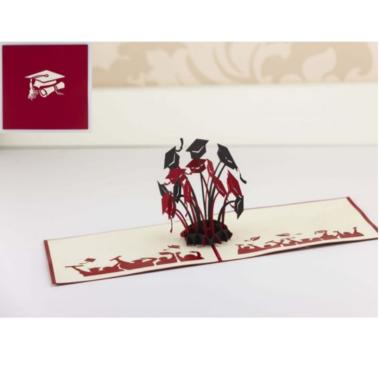 Biglietto laurea graduation origamo