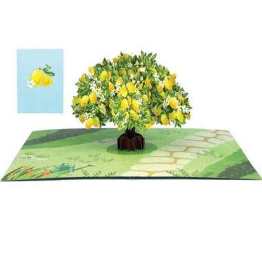 Biglietto origamo lemon tree