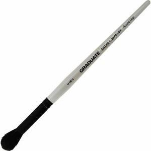 Pennello dal graduate b goat round mop